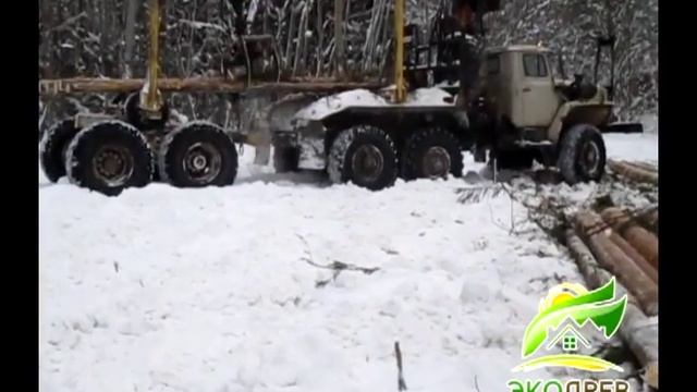 Раскряжевка и погрузка сортимента "ЭкоДрев" смотреть онлайн