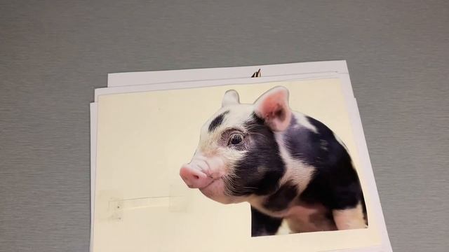 Дидактичні ігри своїми руками для дітей від 1 року/games for kids/ child development смотреть онлайн