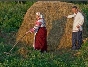 Косил Ясь конюшину.mp4