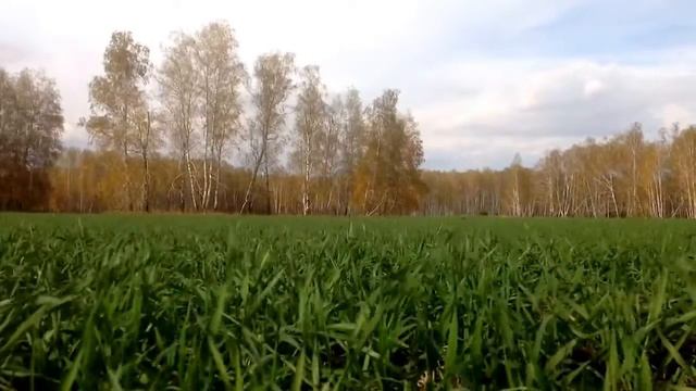 Энергия Роста. озимые смотреть онлайн