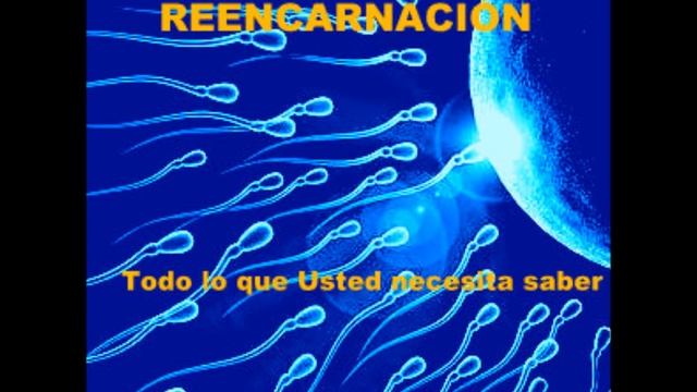 REENCARNACIÓN -   Richard Simonetti.