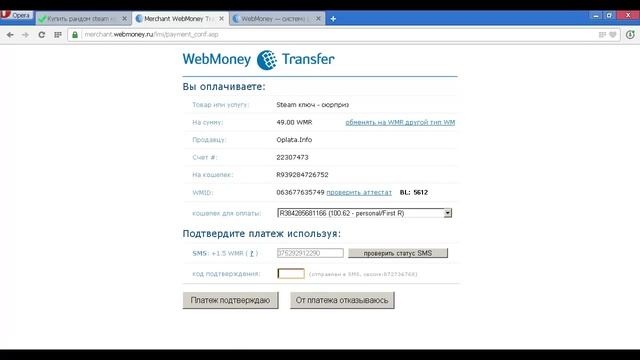 Инструкция по покупке игры в магазине Steam-account.ru смотреть онлайн