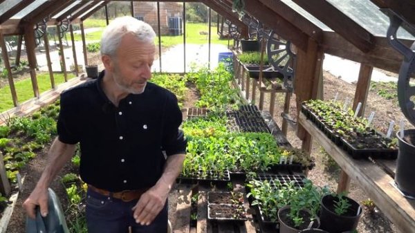 Comparing different composts for propagation