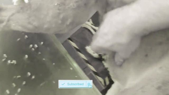 Huge Maggots & Mangoworms Cleaning From Stray Dog ! Animal Rescue Video 2022 #13 смотреть онлайн