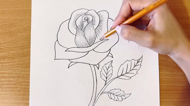 ROSE Drawing Easy ?| How to Draw a Rose step by step смотреть онлайн