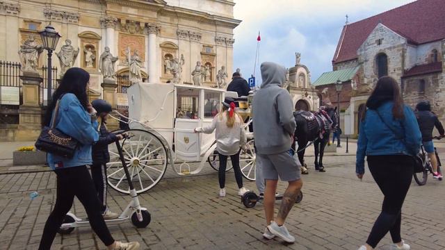 Państwo młodzi na Starym Mieście w Krakowie смотреть онлайн
