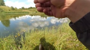 Микроджиг или Отводной поводок? На что лучше сегодня клюет? Выясняем!