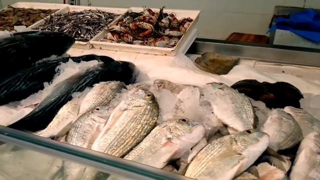 UAE??Ajman FISH MARKET смотреть онлайн