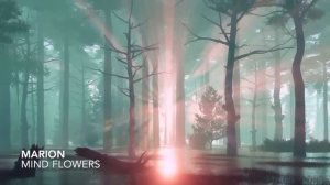 Best of MARION mix ｜ ChillStep   Future Garage Mix 1 Hour