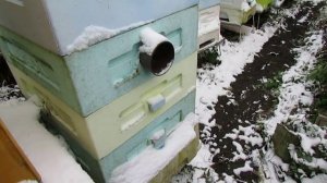 ответы на вопросы - дно от улья BienenHaus , корпуса от улья Лысонь
