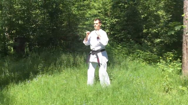 Удары ногами в Годзю-рю каратэ на месте. Аттестационная программа. смотреть онлайн