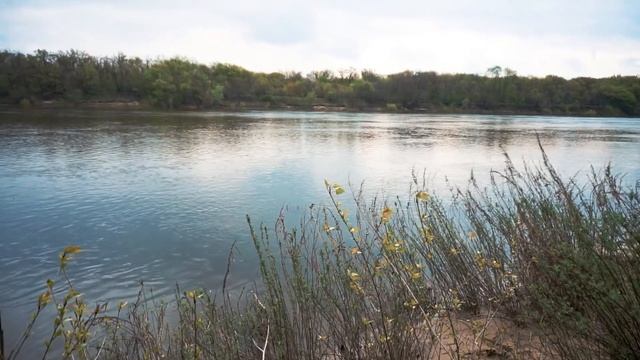 Весенние зарисовки смотреть онлайн