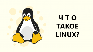 ЧТО ТАКОЕ LINUX? Дистрибутивы, история, shell, bash, что выбрать новичку