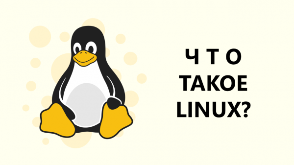 ЧТО ТАКОЕ LINUX? Дистрибутивы, история, shell, bash, что выбрать новичку