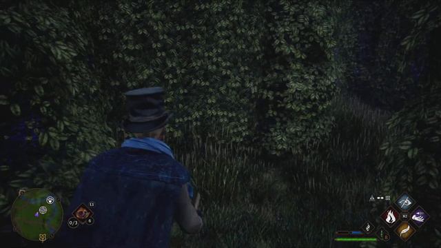 Hogwarts Legacy: Completing a Blackwood Hedge Maze Near Upper Hogsfield смотреть онлайн