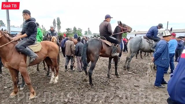 Чабар| Рабочий аттар| Өспүрүм баалары ? смотреть онлайн