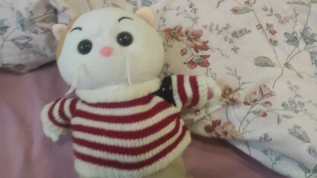 Lv_0_20231111161144.mp4