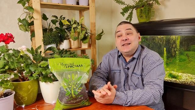 Мульчирование в комнатном цветоводстве. Идеальная мульча смотреть онлайн