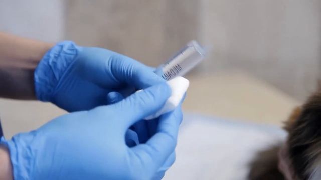 Как промывать глаза домашнему питомцу смотреть онлайн