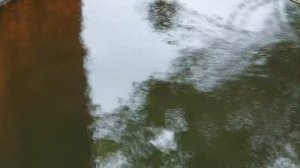 Самоподсекатель.. вместо крючка.Ловля на поплавок.