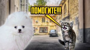 Щенок Шанелька СПАСАЕТ от ГОЛОДНОЙ СМЕРТИ брошенную Кошку!!!