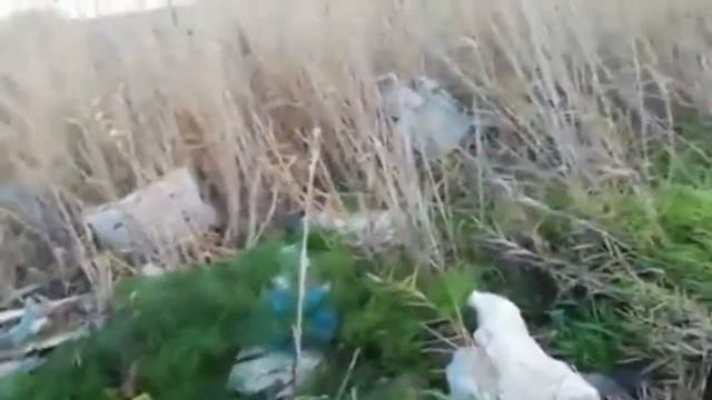 Superstrada da Foggia verso MANFREDONIA, prima della stazione carburanti CAMER, nella vecchia area смотреть онлайн