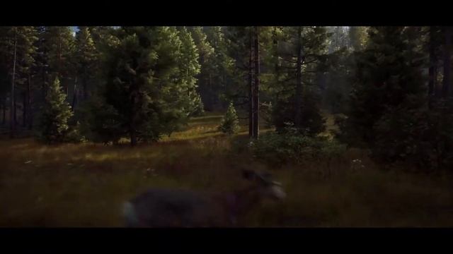 Way of the Hunter - Симулятор охотника - Анонс, геймплей - Трейлер на русском смотреть онлайн