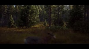Way of the Hunter - Симулятор охотника - Анонс, геймплей - Трейлер на русском