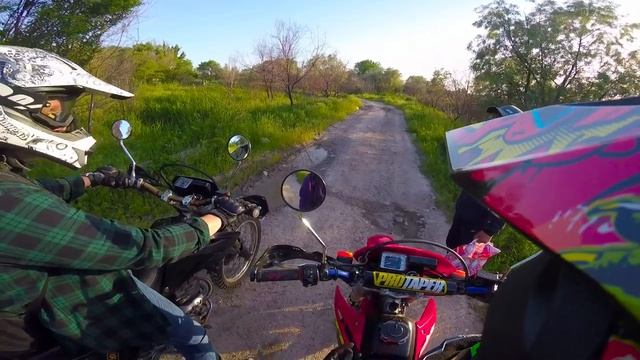 Когда маки играют в прятки смотреть онлайн