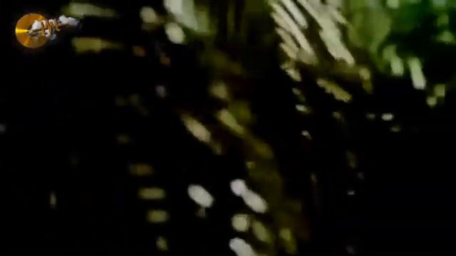 BERGEN Kul Duası orjinal klip смотреть онлайн