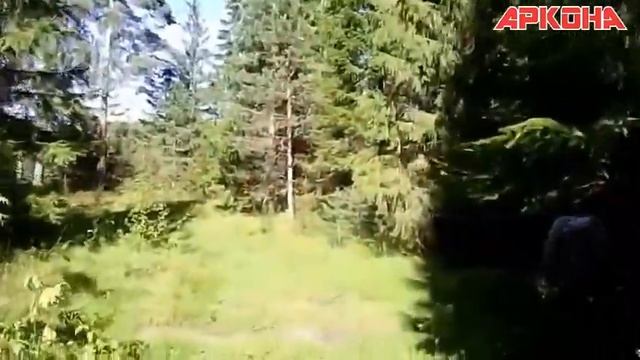 Конная прогулка 02.09.2017 смотреть онлайн