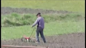 ТАТАРСКАЯ ПЛЯСОВАЯ  ТАНЦУЮТ ВСЕ!