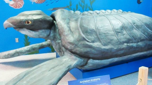 5 Potential AQUATIC SPECIES For Jurassic World Evolution 2 | JWE 2 News & Speculation смотреть онлайн