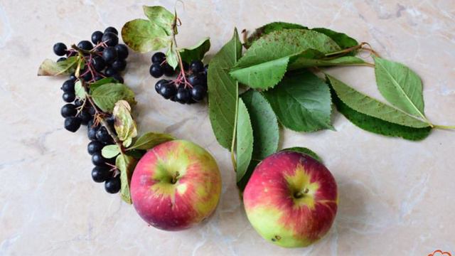 1000 и 1 рецепт