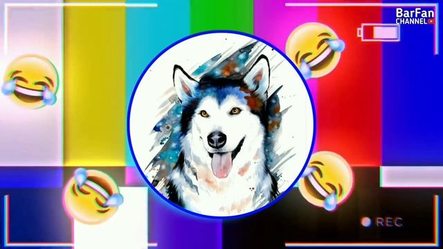 тик ток остался без руки((0( смотреть онлайн