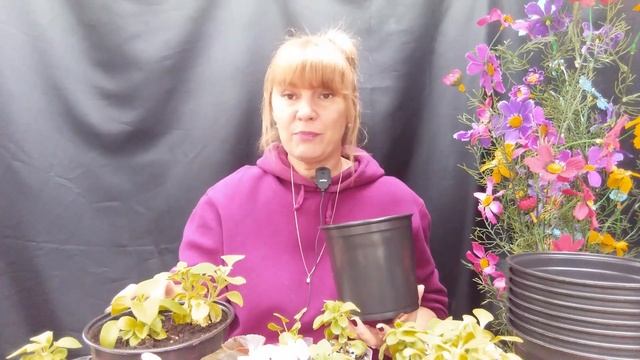 Формируем подвесное кашпо - комбинируем цветы. смотреть онлайн