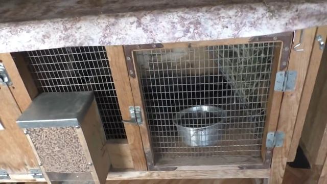 Кролики г.Кемерово смотреть онлайн