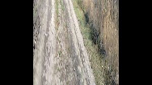 прогулка вдоль берега Дона