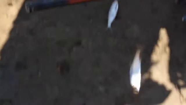 Рыбалка в Серпухове. Ока. Уклейка - Видео Рыбалка смотреть онлайн