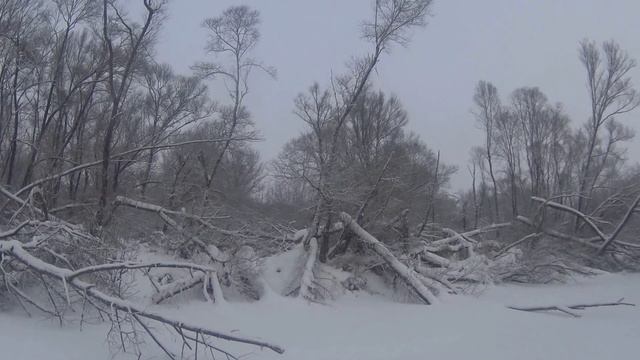 зимняя природа, снежный денек, магия зимы\Nature winter , snow day , winter magic смотреть онлайн