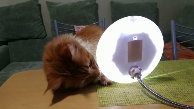 Ваш косметолог в Девяткино Евгений Казмировсский смотреть онлайн