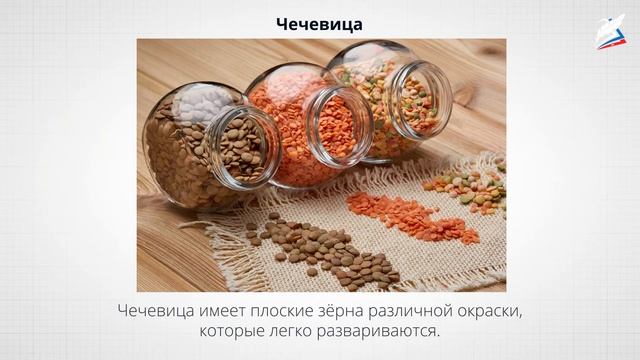 Пищевая ценность бобовых культур. Технологии приготовления блюд из бобовых культур смотреть онлайн