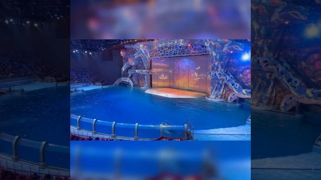 Москвариум Новогодний Круиз смотреть онлайн