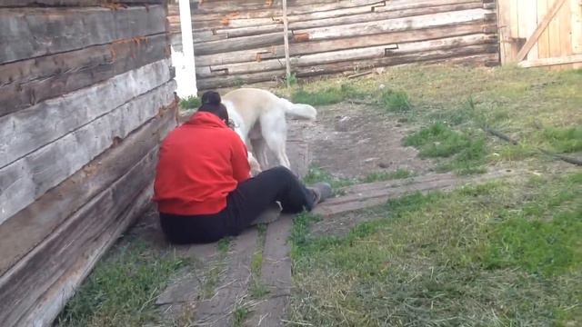 Пьяная тёт Наташа с другой песней смотреть онлайн