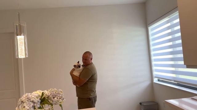 США Влог Вкуснотища получилась Закупка Маша и анализы Семейный Влог Big big family in the USA VLOG смотреть онлайн