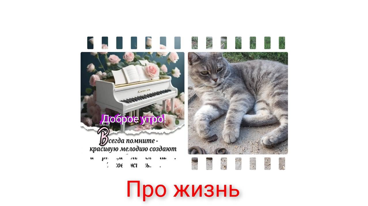 Жизнь на Кубани во всех красках. Женщина я не танцую/Кошка Амазонка. смотреть онлайн