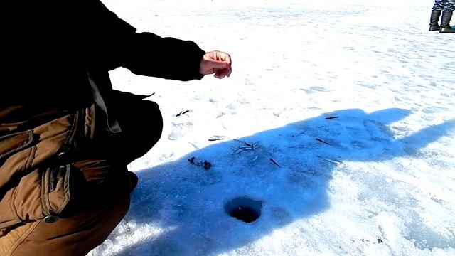 Это вам не Обь,не Енисей,ни Лена,а Река Хопёр.Зимняя рыбалка смотреть онлайн