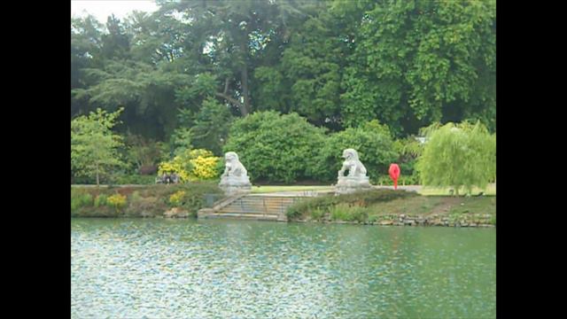 The Rose Garden at Kew series#july2022 part 6 #london#kewgardens#england смотреть онлайн