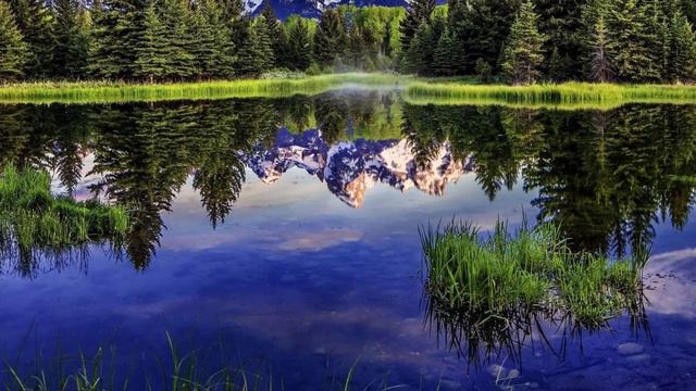 Как узнать свой магический дар с точностью 99% и начать его развивать прямо сейчас! смотреть онлайн