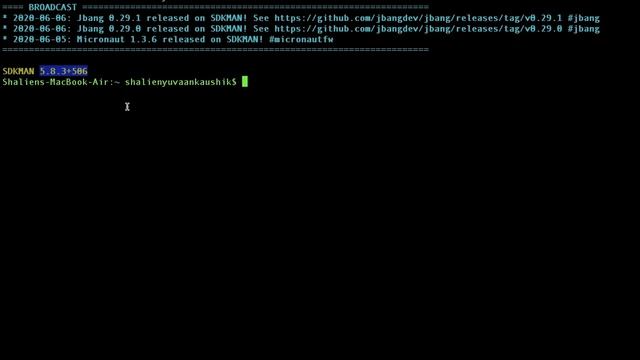 SDKMAN: Introduction || Installation || Uninstallation : In English смотреть онлайн